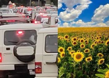 ബത്തേരി ഗുണ്ടൽപേട്ട ദേശീയപാതയിൽ ഗതാഗതകുരുക്ക് രൂക്ഷമായി