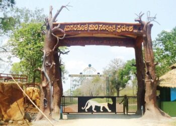 നാഗരഹോളെ ടൈഗർ റിസർവിൽ രണ്ട് സഫാരി പോയിന്റുകൾ കൂടി വരുന്നു