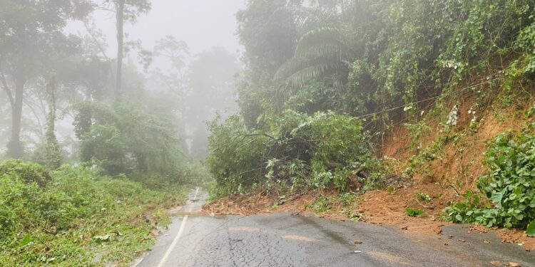 ചന്ദനത്തോട് മുതൽ സെമിനാരി വില്ലവരെ ആറ് കിലോമീറ്ററിനുള്ളിൽ പതിനാല് സ്ഥലങ്ങളിൽ ചെറുതും വലുതുമായ മണ്ണിടിച്ചിലുകൾ