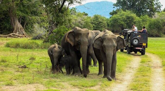 ദേശീയഉദ്യാനങ്ങൾ, വന്യജീവി സങ്കേതങ്ങൾ എന്നിവയിൽ പ്രവേശനം സൗജന്യം