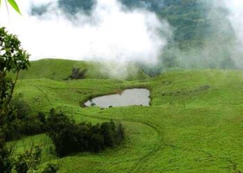 ചെമ്പ്ര  കൊടുമുടിയിലേക്ക്സൗജന്യ ട്രക്കിംഗ്