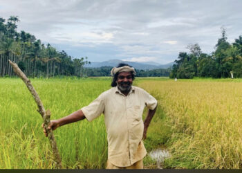 നെല്‍വിത്തുകളുടെ കാവല്‍ക്കാരന്‍: കേരളത്തിന്‍റെ നെല്ലച്ഛന്‍ ചെറുവയല്‍ രാമന് പത്മശ്രീ പുരസ്‌കാരം
