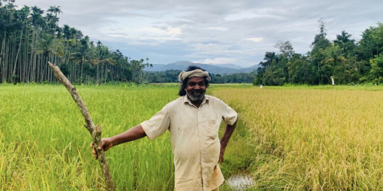 നെല്വിത്തുകളുടെ കാവല്ക്കാരന്: കേരളത്തിന്റെ നെല്ലച്ഛന് ചെറുവയല് രാമന് പത്മശ്രീ പുരസ്കാരം
