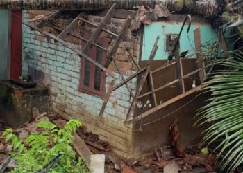 കനത്ത കാറ്റിലും മഴയിലും വീടിനു മുകളിലേക്ക് തെങ്ങ് വീണ് വീടിന് കേടുപാടുകൾ സംഭവിച്ചു