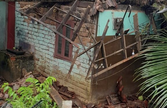 കനത്ത കാറ്റിലും മഴയിലും വീടിനു മുകളിലേക്ക് തെങ്ങ് വീണ് വീടിന് കേടുപാടുകൾ സംഭവിച്ചു