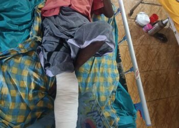 ആടിനെ മേയ്ക്കാൻ വനത്തിൽ പോയ വയോധികന് കാട്ടാന ആക്രമത്തിൽ പരുക്ക് .