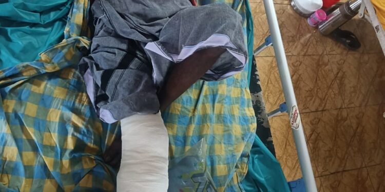 ആടിനെ മേയ്ക്കാൻ വനത്തിൽ പോയ വയോധികന് കാട്ടാന ആക്രമത്തിൽ പരുക്ക് .