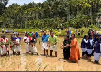 കാർഷിക പൈതൃകം ഉണർത്തി കമ്പളനാട്ടി