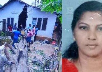 പുളിമരം മുറിക്കവേ അപകടം; വാതിൽപ്പടിയിലിരുന്ന വീട്ടമ്മയ്ക്ക് ദാരുണാന്ത്യം