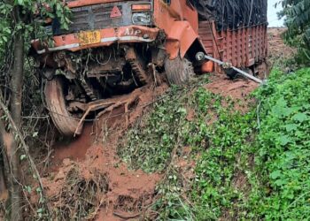 പാൽചുരത്തിൽ ചരക്ക് ലോറി നിയന്ത്രണം വിട്ട് മരത്തിലിടിച്ചു