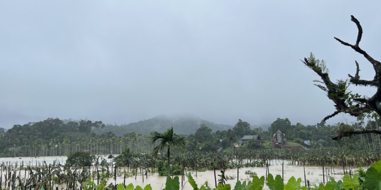 മഴക്കാല മുന്നൊരുക്കം; വയനാട് ജില്ലയിൽ ഏർപ്പെടുത്തിയനിയന്ത്രണങ്ങൾ പിൻലിച്ചു