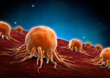 ഇന്ത്യയിൽ കാൻസർ‌ മരണം കൂടി; സ്ത്രീകളുടെ മരണനിരക്കിൽ വർദ്ധന, പുരുഷന്മാരുടെ എണ്ണം കുറഞ്ഞു