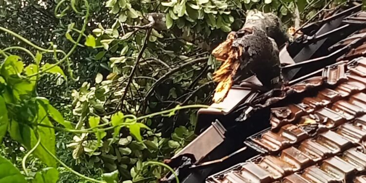 ഇന്നും വ്യാപകമഴയ്ക്ക് സാധ്യത, ജാ​ഗ്രത, മുന്നറിയിപ്പ്; എട്ട് ജില്ലകളിൽ യെല്ലോ അലർട്ട്