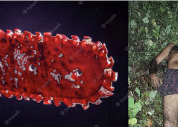 മരം മുറിക്കുന്ന യന്ത്രം കഴുത്തിൽ വെച്ച് മധ്യവയസ്കൻ ആത്മഹത്യ ചെയ്തു.