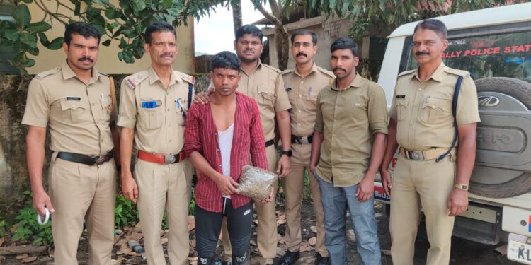 മരക്കടവ് തോണിക്കടവിൽ നിന്നും 700 ഗ്രാം കഞ്ചാവുമായി അതിഥി തൊഴിലാളി അറസ്റ്റിൽ