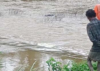 പനമരം മാത്തൂര്‍ പുഴയില്‍ അജ്ഞാത മൃതദേഹം കണ്ടെത്തി