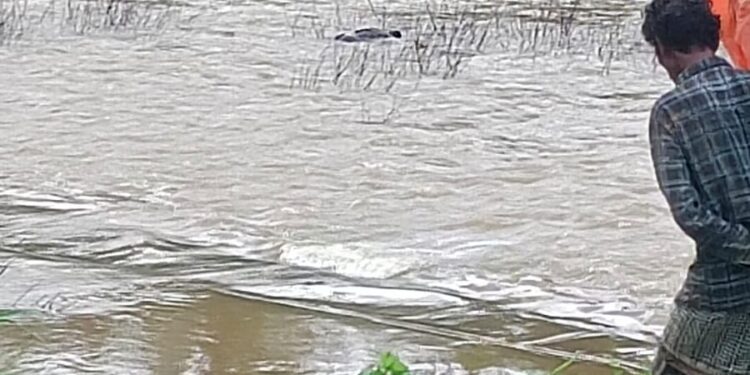 പനമരം മാത്തൂര്‍ പുഴയില്‍ അജ്ഞാത മൃതദേഹം കണ്ടെത്തി