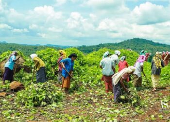 തൊഴിലുറപ്പ്‌ തൊഴിൽ നിരീക്ഷിക്കാൻ ഡ്രോൺ ഉപയോഗിക്കണമെന്ന്‌ കേന്ദ്രം