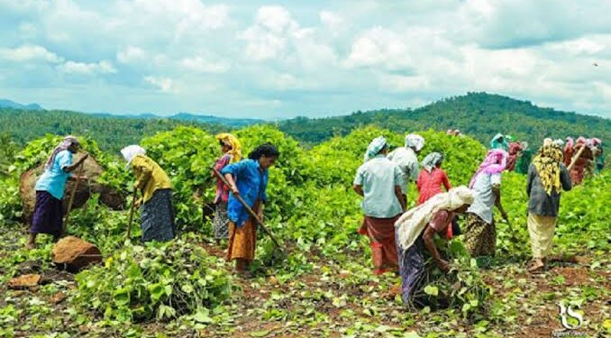 തൊഴിലുറപ്പ്‌ തൊഴിൽ നിരീക്ഷിക്കാൻ ഡ്രോൺ ഉപയോഗിക്കണമെന്ന്‌ കേന്ദ്രം