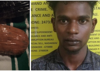 അര കിലോ കഞ്ചാവുമായി യുവാവ് പിടിയിൽ