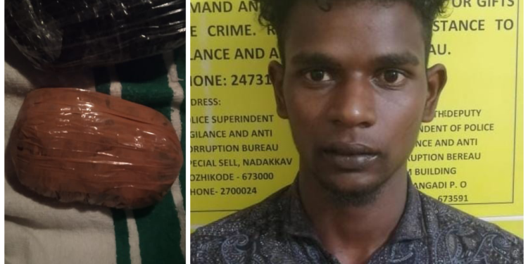 അര കിലോ കഞ്ചാവുമായി യുവാവ് പിടിയിൽ