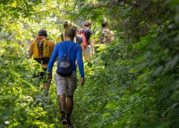 അകാല മരണം തടയാൻ ദിവസവും എത്ര ചുവട് നടക്കണം? ഉത്തരമിതാ.