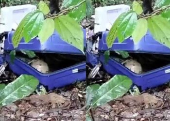 തലശ്ശേരി-കുടക് അന്തർ സംസ്ഥാന പാതയിൽ സ്ത്രീയുടെ മൃതദേഹം: കഷണങ്ങളാക്കി പെട്ടിയിൽ നിറച്ച നിലയില്‍