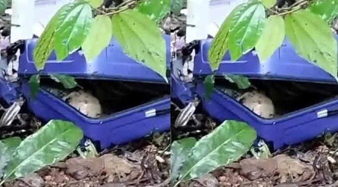 തലശ്ശേരി-കുടക് അന്തർ സംസ്ഥാന പാതയിൽ സ്ത്രീയുടെ മൃതദേഹം: കഷണങ്ങളാക്കി പെട്ടിയിൽ നിറച്ച നിലയില്‍