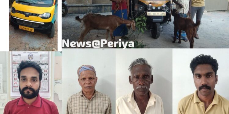 ആട് മോഷ്ടാക്കൾ പിടിയിൽ