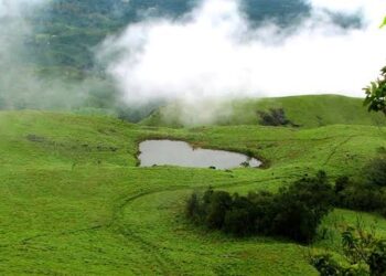 വന്യജീവി ആക്രമണം; വയനാട്ടിൽ ടൂറിസ്റ്റ് കേന്ദ്രങ്ങള്‍ അടച്ചു; ചൊവ്വാഴ്ച ഉന്നതതലയോഗം