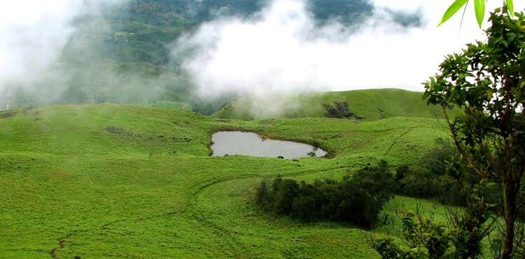 വന്യജീവി ആക്രമണം; വയനാട്ടിൽ ടൂറിസ്റ്റ് കേന്ദ്രങ്ങള്‍ അടച്ചു; ചൊവ്വാഴ്ച ഉന്നതതലയോഗം