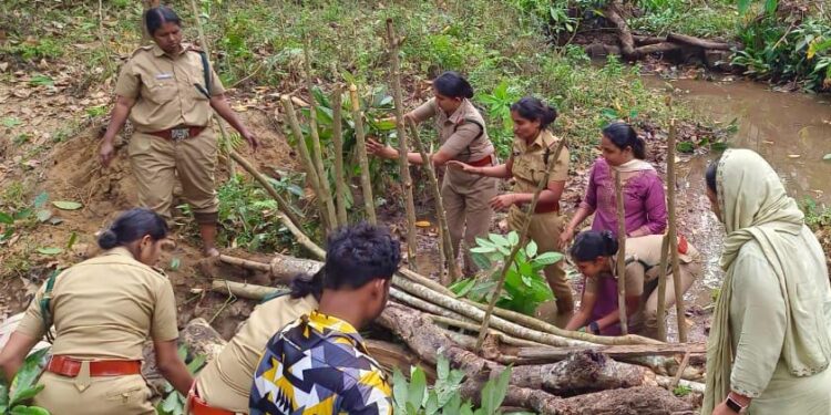 കടുത്ത വേനലിൽ കാട്ടുമൃഗങ്ങളുടെ ദാഹം അകറ്റാൻ ബ്രഷ് വുഡ് ചെക്ക്ഡാം നിർമിച്ചു