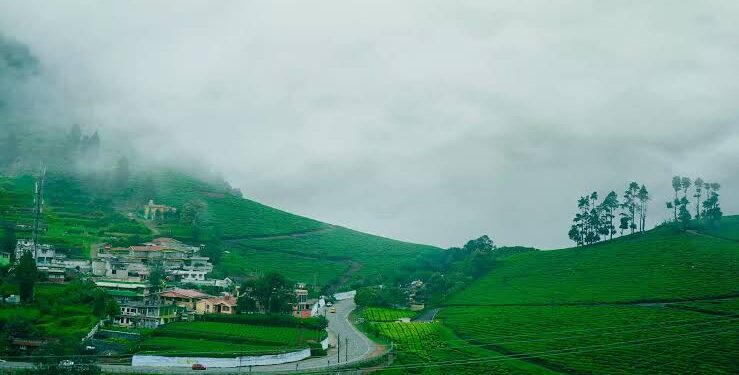 ഊട്ടി യാത്ര എളുപ്പമാകില്ല; നിയന്ത്രണങ്ങളുമായി ഹൈക്കോടതി, വാഹനങ്ങളില്‍ പ്രവേശിക്കാന്‍ ഇ-പാസ് വേണം