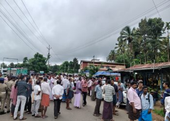കടുവയെ പിടികൂടുന്നതിനുള്ള നടപടികൾ സ്വീകരിക്കും: മന്ത്രി എ.കെ ശശീന്ദ്രൻ
