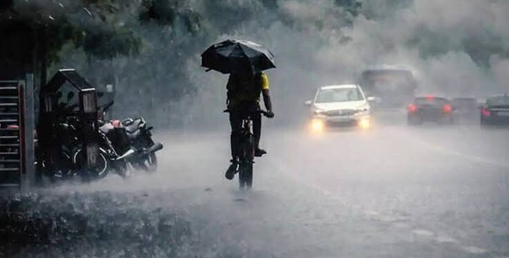 സംസ്ഥാനത്ത് കനത്ത നാശം വിതച്ച് അതിതീവ്ര മഴ, കണ്ണൂരും കാസര്‍കോടും കോട്ടയത്തും ആലപ്പുഴയും മരംവീണ് അപകടം