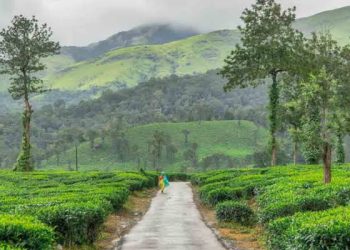 മുണ്ടക്കൈ ദുരന്തം: പുനരധിവാസമുൾപ്പെടെ ചർച്ച ചെയ്യാൻ ഇന്ന് യോഗം; ദുരിതബാധിതർ പങ്കെടുക്കും