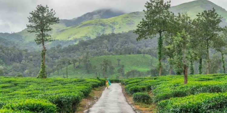 മുണ്ടക്കൈ ദുരന്തം: പുനരധിവാസമുൾപ്പെടെ ചർച്ച ചെയ്യാൻ ഇന്ന് യോഗം; ദുരിതബാധിതർ പങ്കെടുക്കും