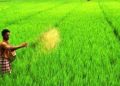 സംസ്ഥാനത്തെ കർഷകർക്ക് ഔദ്യോഗിക തിരിച്ചറിയൽ കാർഡ് ഏർപ്പെടുത്തി കൃഷി വകുപ്പ്