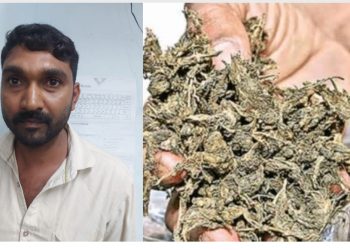 കച്ചവട സ്ഥാപനത്തില്‍ നിന്നുംകഞ്ചാവ് പിടികൂടിയ സംഭവംമകനെ കുടുക്കാനായിപിതാവ് ഒരുക്കിയ കെണി