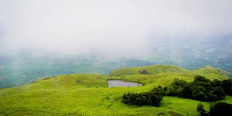 വയനാട്ടിലെ ഇക്കോ ടൂറിസം കേന്ദ്രങ്ങള്‍ പുനരാരംഭിക്കും-സര്‍ക്കാരിന്റെ ആവശ്യം ഭാഗികമായി അംഗീകരിച്ച് ഹൈക്കോടതി
