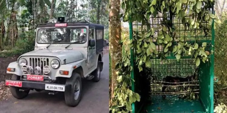 പുൽപ്പള്ളി കടുവ ഭീഷണി(പ്രദേശത്തെ സ്കൂളുകൾക്ക് അവധി പ്രഖ്യാപിച്ചു)ജാഗ്രതാ നിര്ദേശം നല്കി വനംവകുപ്പ്